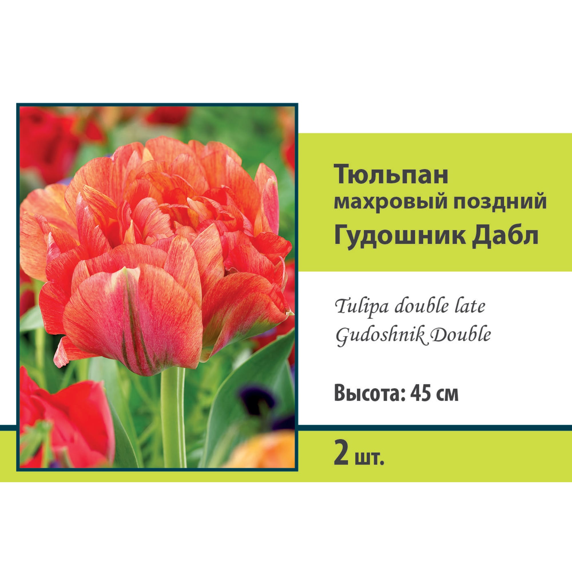 88294862 Тюльпан махровый поздний Гудошник дабл луковица 10/11, 2 шт Santreyd 
