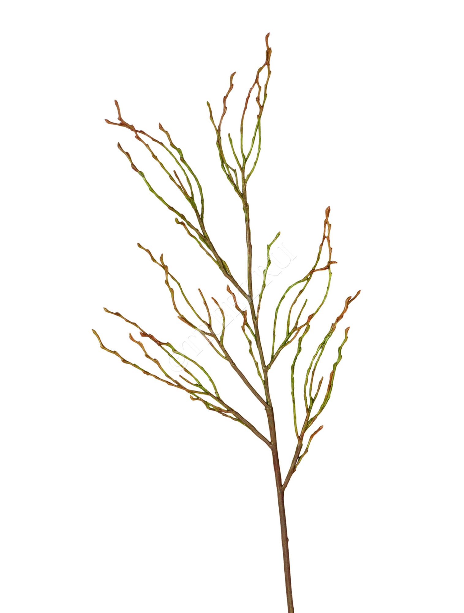 30.0611064 Ветвь зелёно-коричневая Цветочная коллекция 