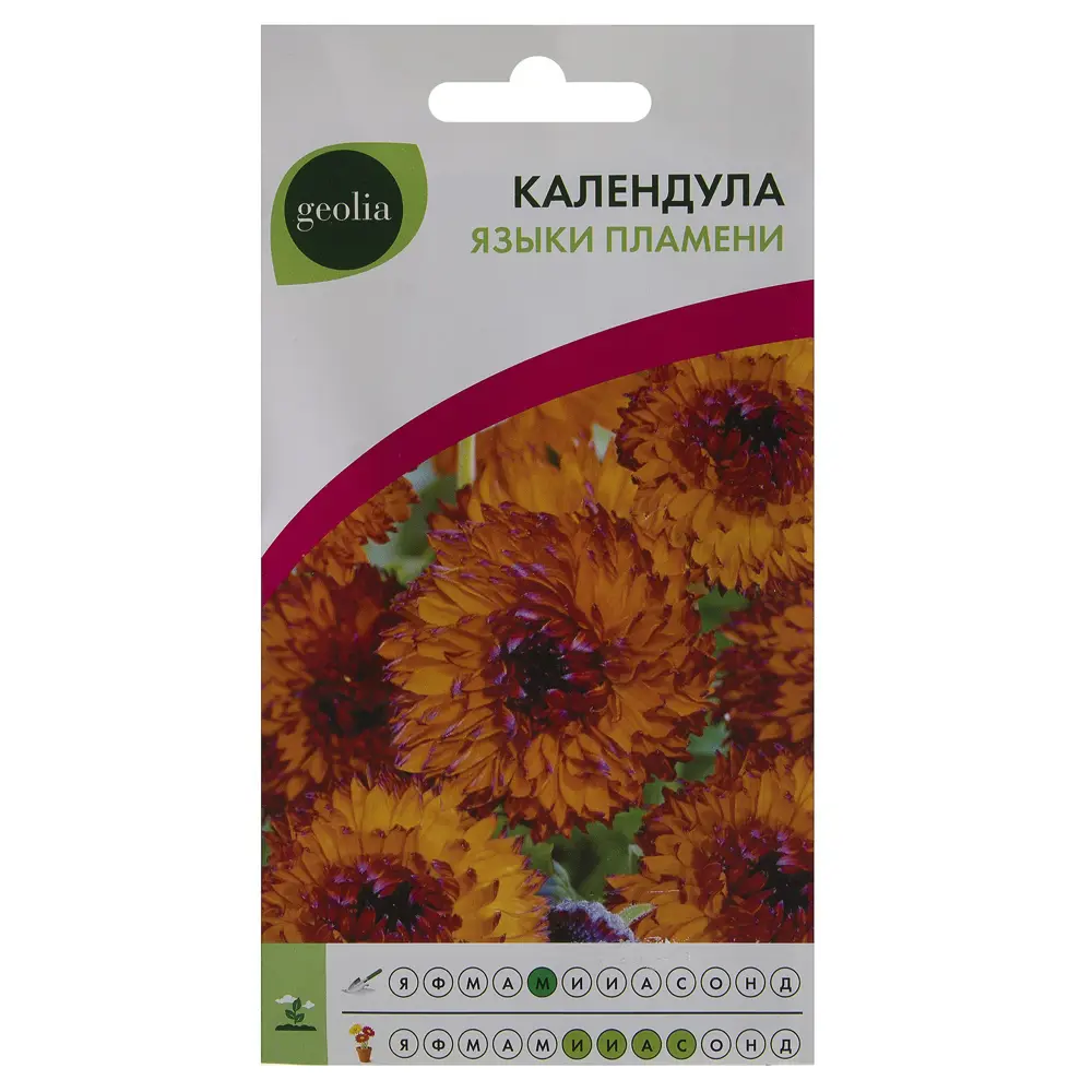 Календула GEOLIA Языки пламени - огненный шарм в вашем саду 17585551 STLM-0008388