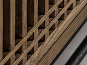 Шкаф для телевизора из вяза с распашными дверцами