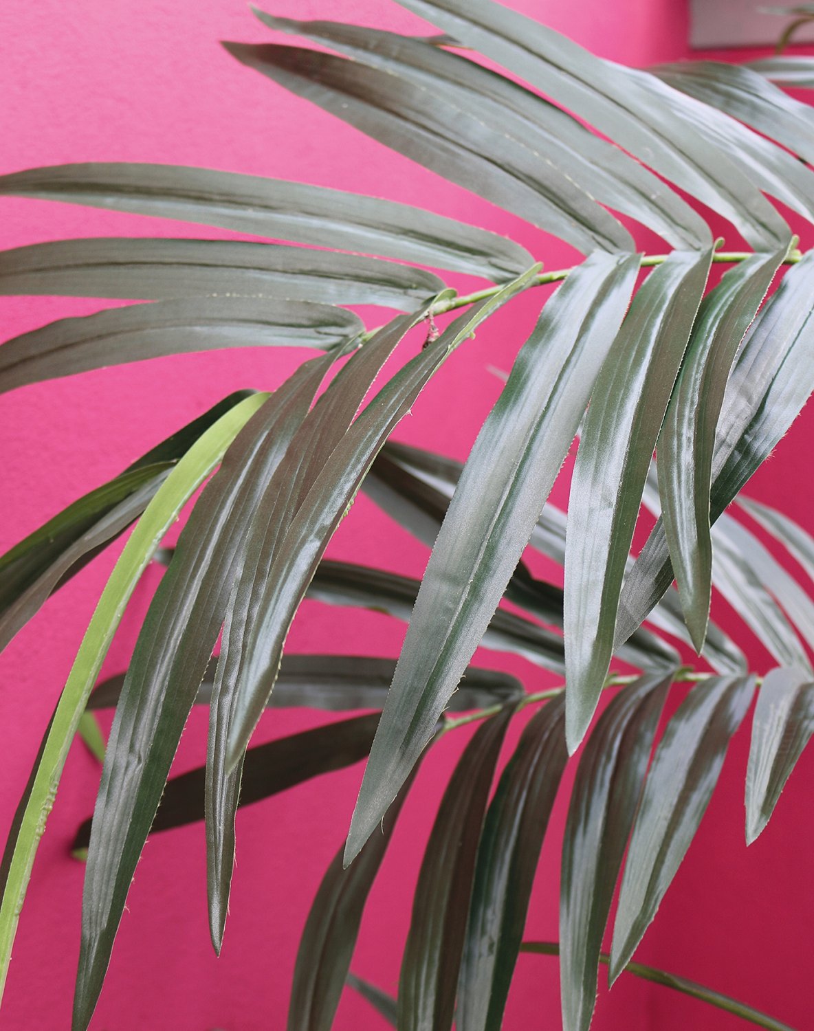 5453 883 a3 Искусственная пальма Kentia, горшечная, 270 см, зеленая H-andreas  - Вид №9