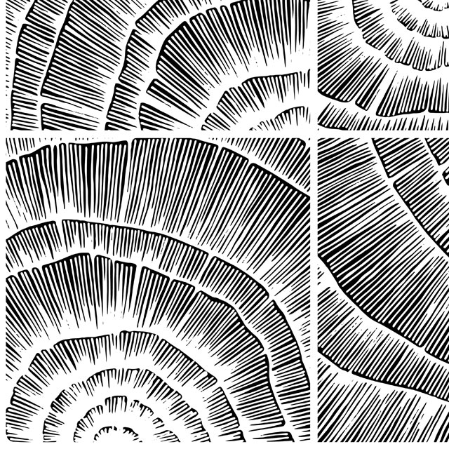 Стеновые панели - Шелл лайт LIGRON LIST95 2184