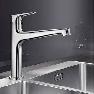 Смеситель для кухни Felisa 520324