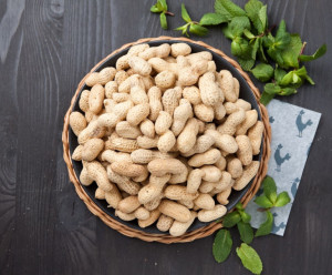 9313 Арахис в скорлупе жареный Вкусляндия