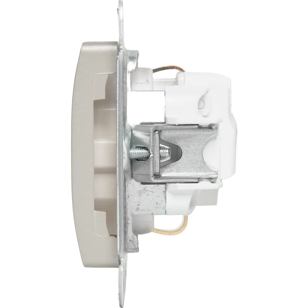 Розетка встраиваемая Systeme Electric Glossa с заземлением со шторками цвет платина STLM-2115836 - Вид №2