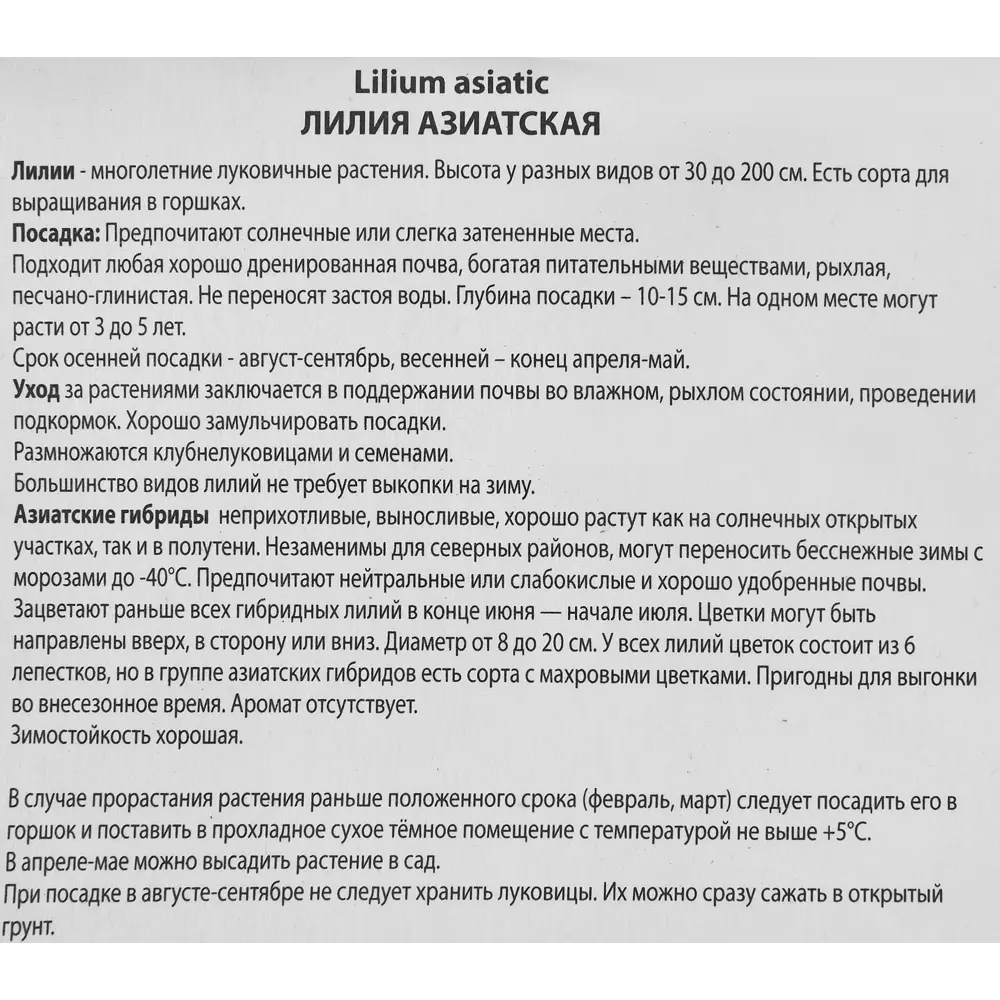 Лилия азиатская Ред Каунти, 88659193 STLM-2004822 ПОИСК  - Вид №3