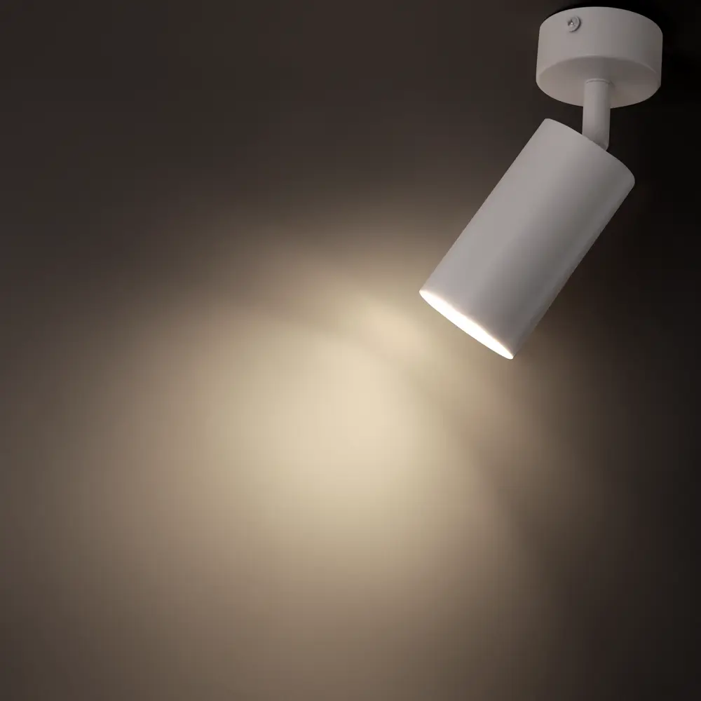 Поворотный спот Ritter Arton для точечного освещения интерьера 83978835 STLM-0045688 - Вид №1