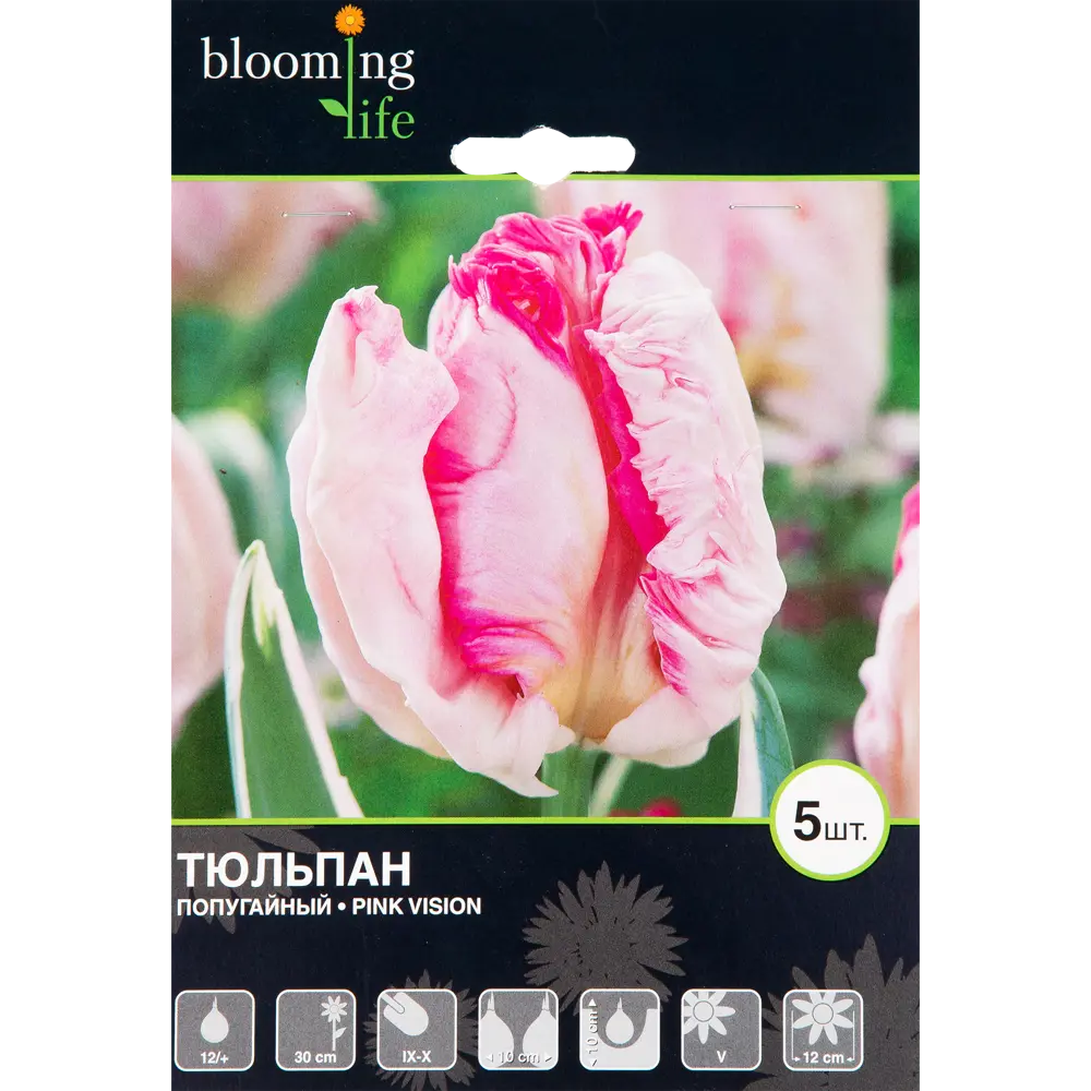 Тюльпан Пинк Вижн 12/+, 5 шт 16397751 STLM-2140975 Santreyd 