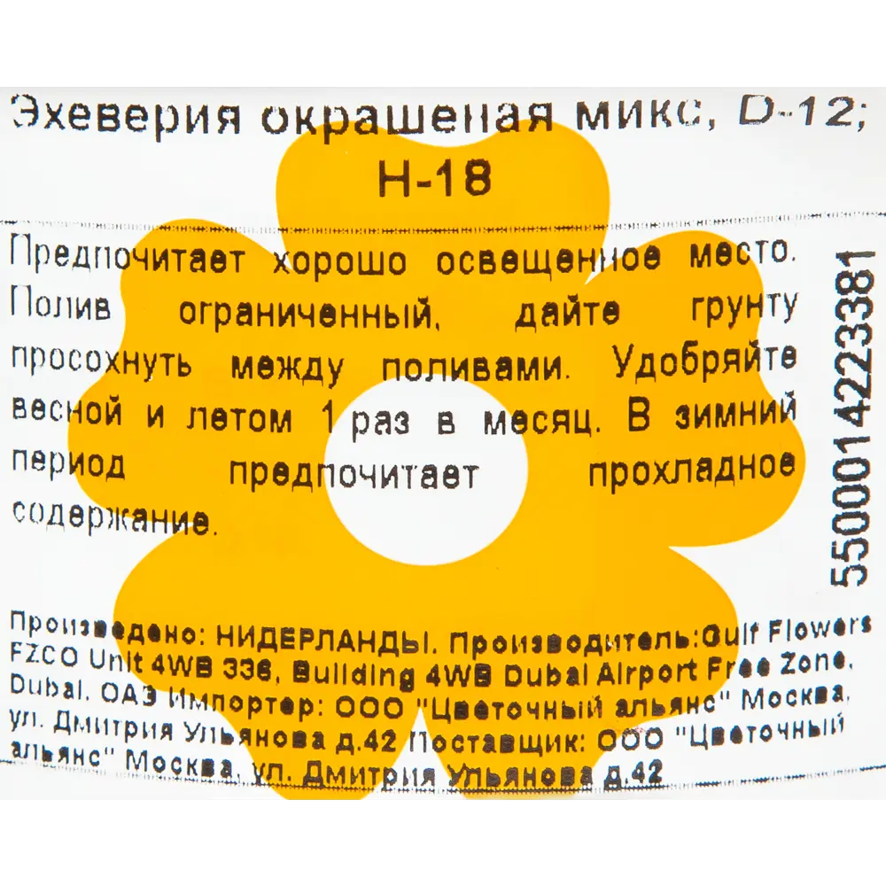 Эхеверия окрашенная микс 12x18 см 82929557 STLM-2071448 Santreyd  - Вид №3