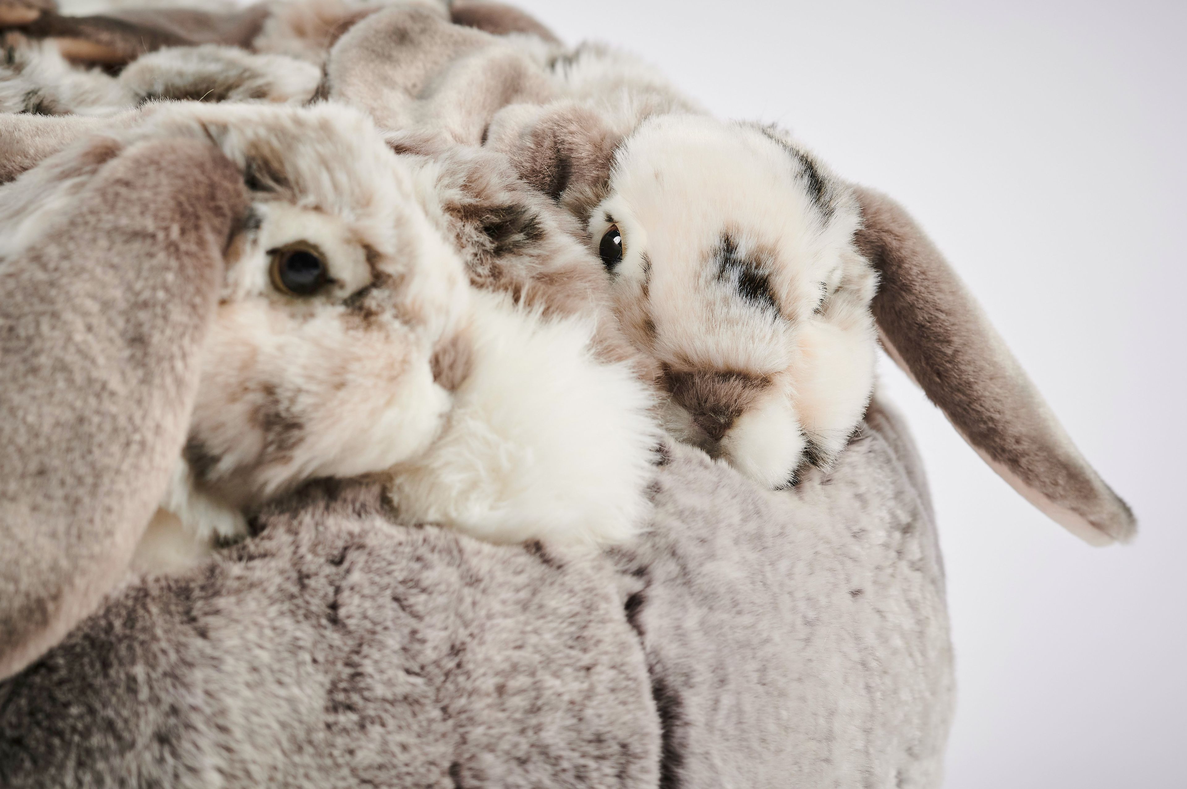 Полиэстер круглый пуф APCOLLECTION REX ARCH-00031032 - Вид №5