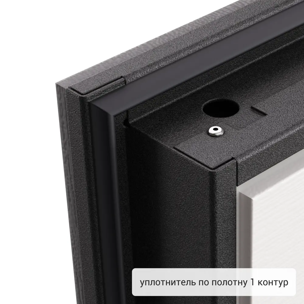 Дверь входная металлическая Хьюго 01 880 мм правая 82858739 STLM-2199564 TOREX  - Вид №8