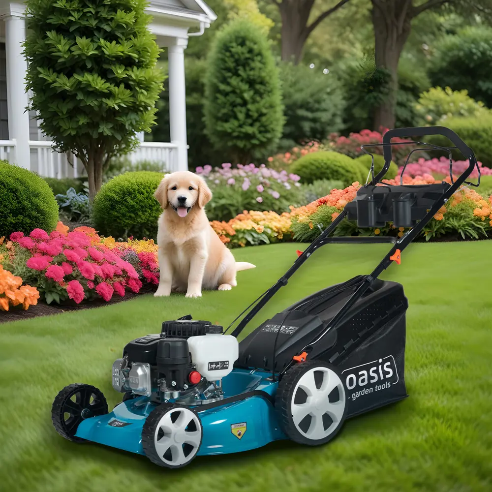 Газонокосилка бензиновая Oasis Garden Tools GB-32 6 л.с. 53 см 89361536 STLM-2165976  - Вид №22