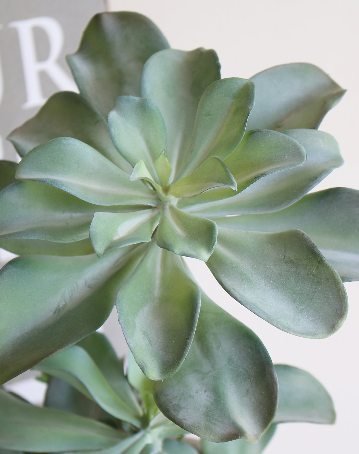 6047 883 a3 Искусственный суккулент, горшок, 38 см, зеленый H-andreas  - Вид №3