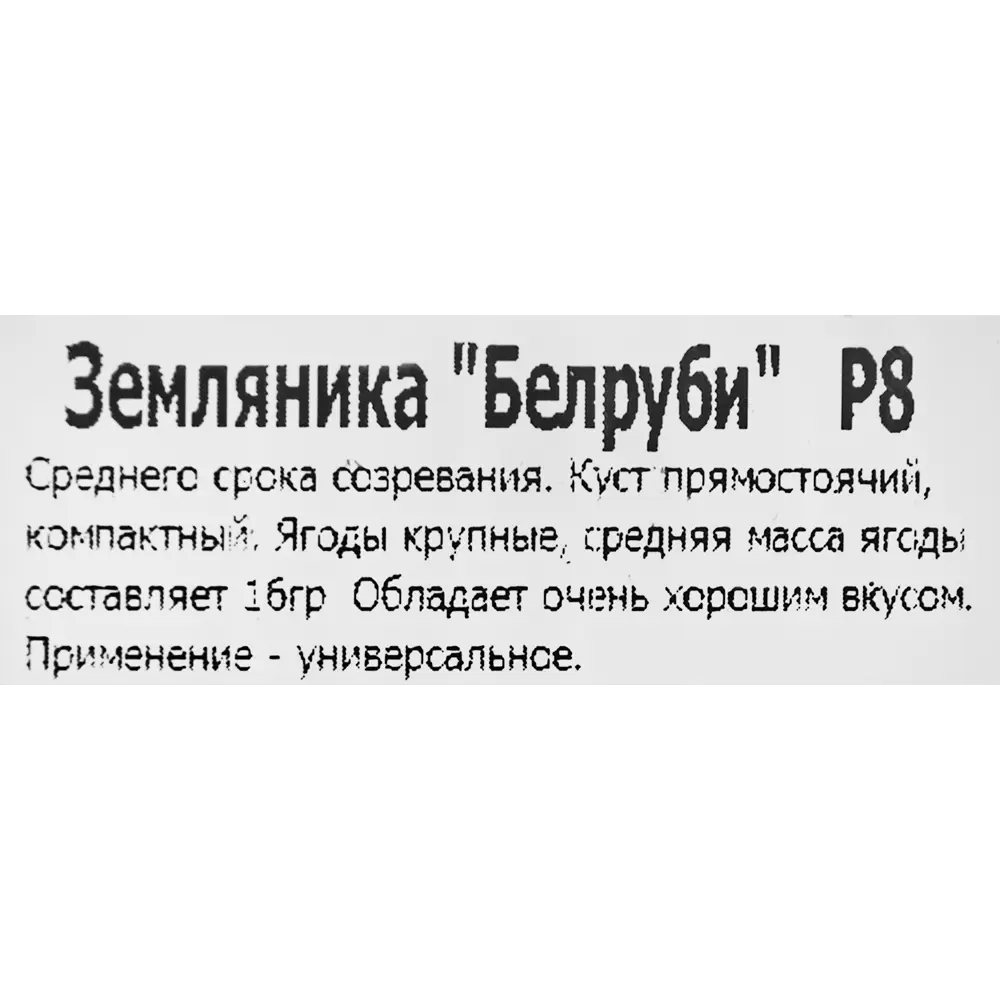 Земляника Белруби Santreyd - французский сорт для щедрого урожая 83597589 STLM-0966607 - Вид №1