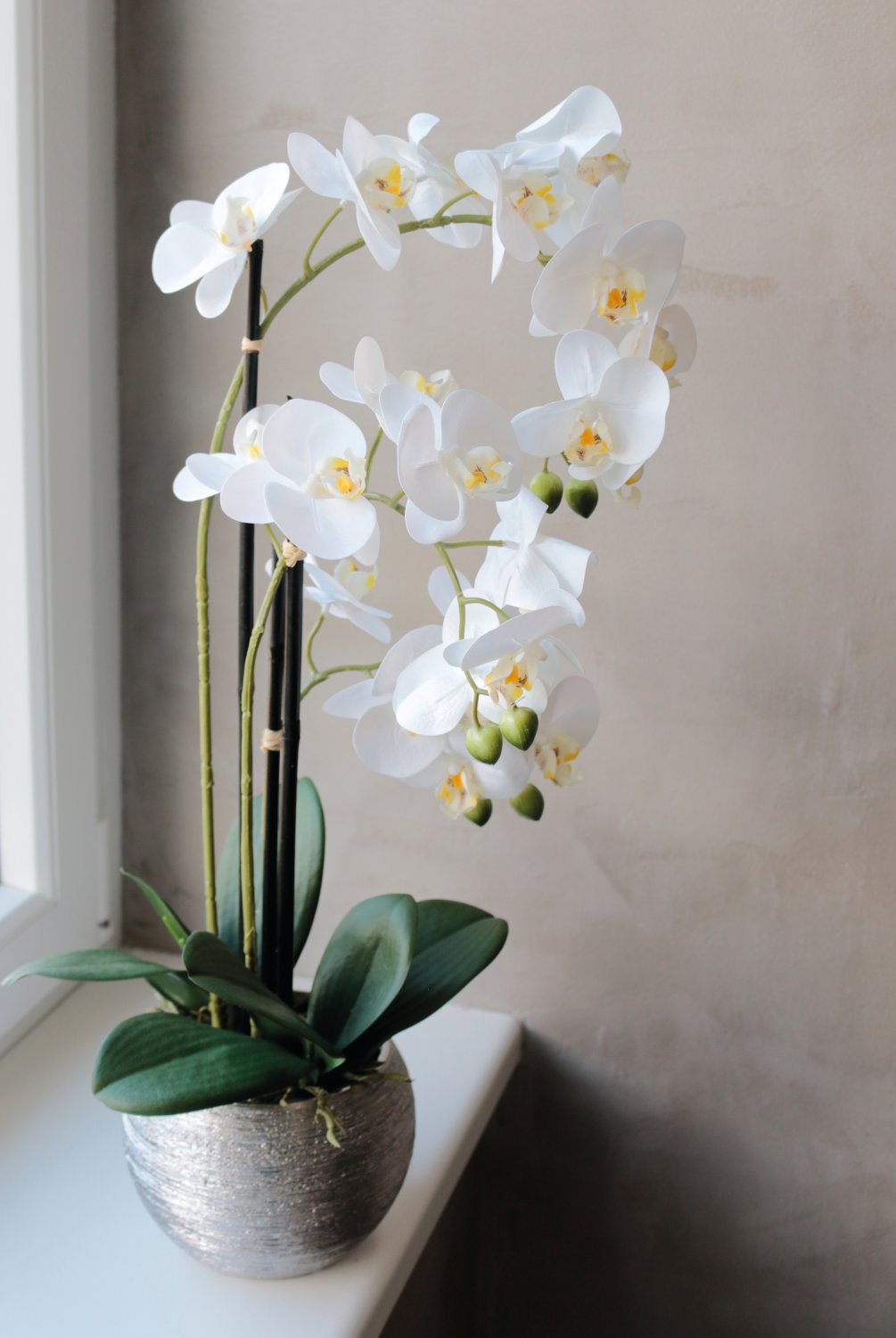 2778 778 a3 Пластиковая орхидея Phalaenopsis, 3-х кратная, горшечная, 55 см, real touch, бежево-белая H-andreas  - Вид №4