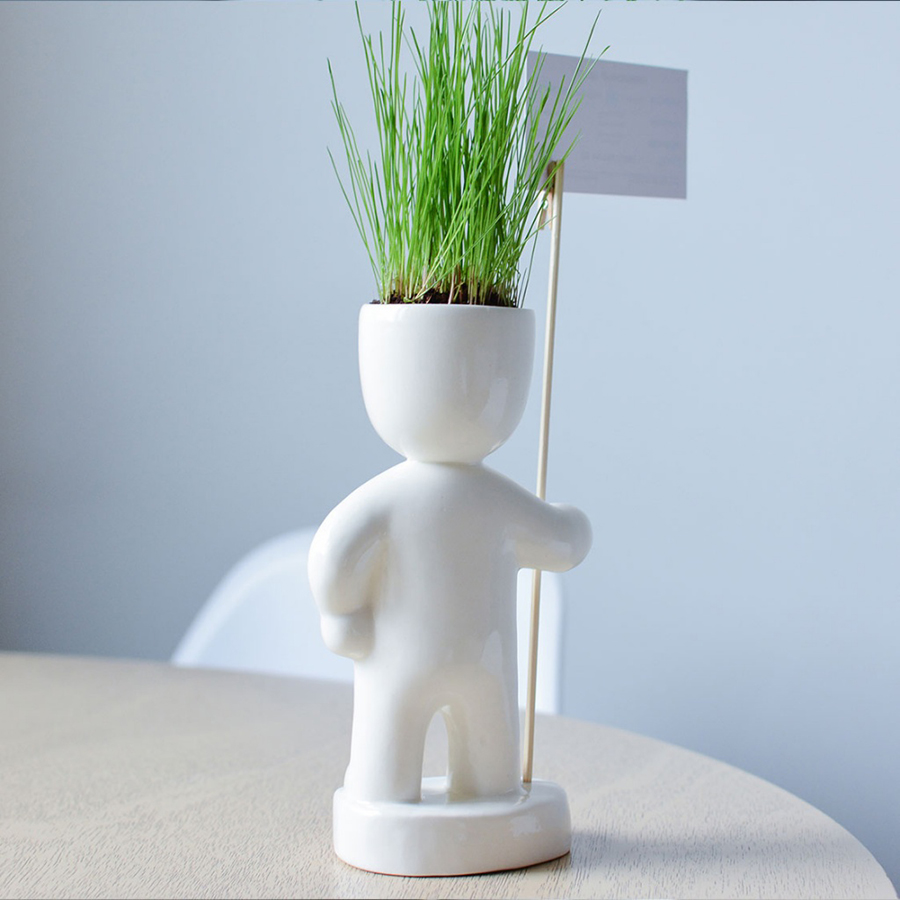 Набор для выращивания Eco Знаменосец ЭКОЧЕЛОВЕКИ ЕСO117 - Вид №1