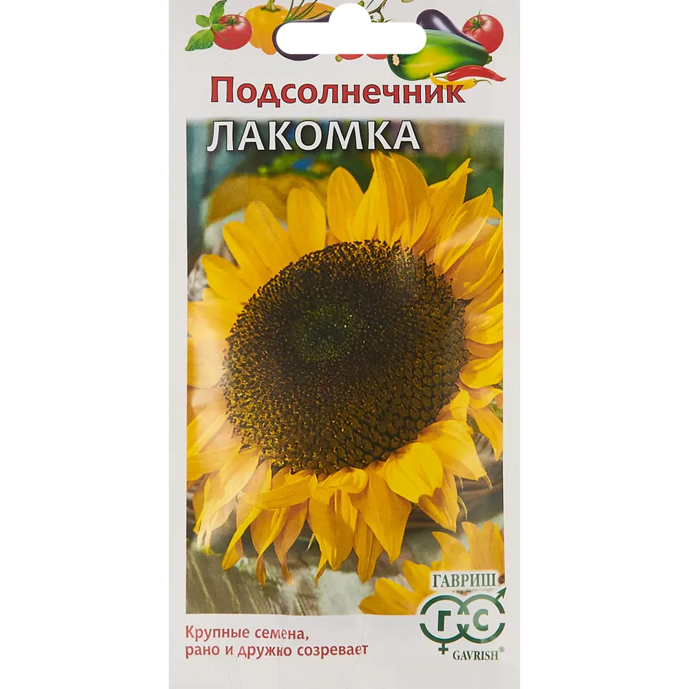 Семена подсолнечника Лакомка от ГавРИШ - скороспелый сорт для урожайного сезона 86222869 STLM-0067104