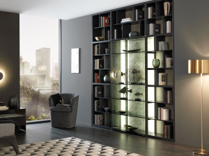 Книжный шкаф из дерева и стекла