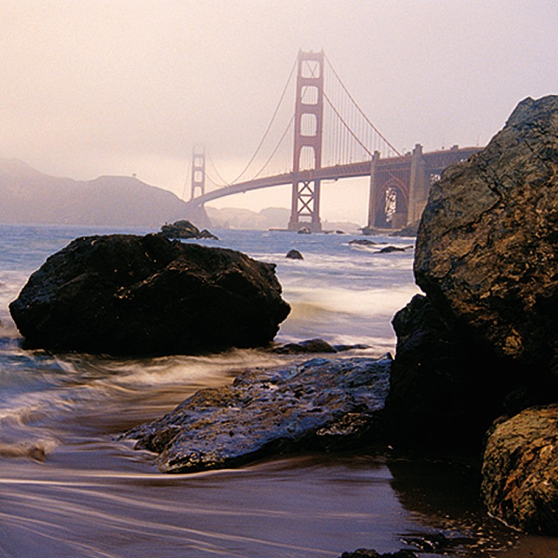 0309/C Картина 0309 Adriani e Rossi 