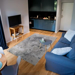 Ковер Merinos Point 60×110 см серый современный для гостиной и спальни 89423592