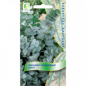 82984210 Семена Эвкалипт серебряный «Бинго»