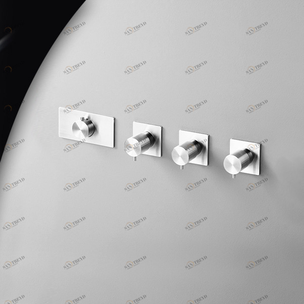 Термостат для душа AICO TER56L серебристый глянцевый Radomonte