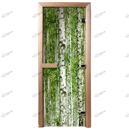 DoorWood Дверь с фотопечатью А084 5568