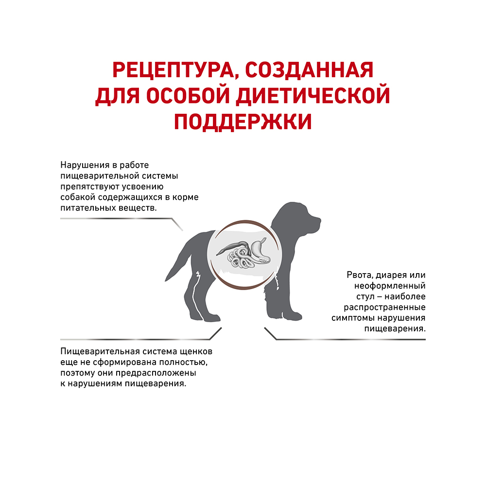 ПР0015581 Корм для щенков Vet Diet Gastro Intestinal Junior GIJ29 при нарушении пищеварения сух. 10кг ROYAL CANIN  - Вид №2