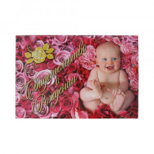 31.020 Папка Свидетельство о рождении А5 Малыш в розах