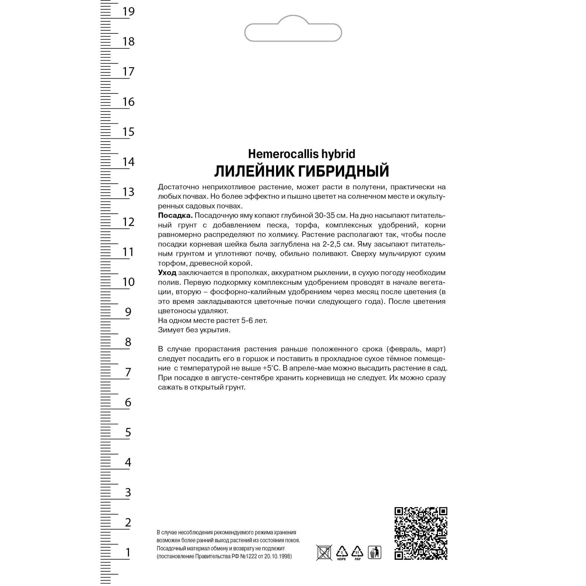 82530543 Лилейник гибридный Икебана Стар Santreyd  - Вид №1