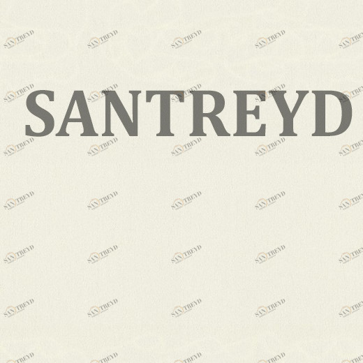 954333 Обои Rasch Maximum XIV