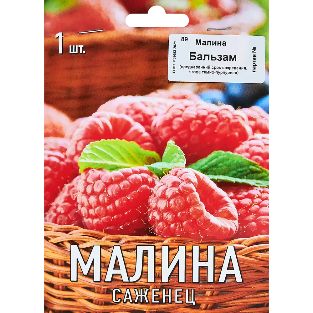 Малина Бальзам капер h10 см 89353442 STLM-2155218 Santreyd 