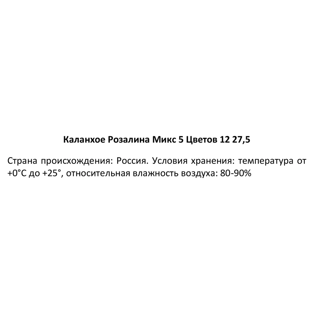 Каланхоэ Розалина микс Santreyd — цветущий суккулент для дома 89352856 STLM-0953940 - Вид №5