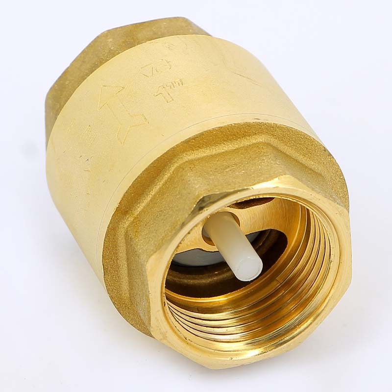 Клапан обратный пружинный YACHT с пластиковым затвором TIEMME 1" 3500001 - Вид №1