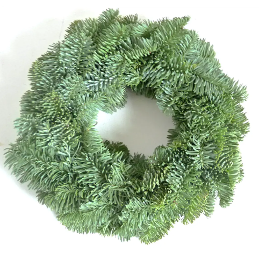 Венок рождественский №2 Santreyd STLM-2210593 - Вид №1