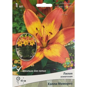 Лилия азиатская Мемориз Патио 85205795 STLM-2064829