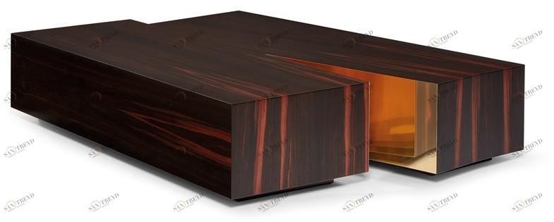 Ginger & Jagger Низкий прямоугольный журнальный столик Earth to earth sun-id-1392791