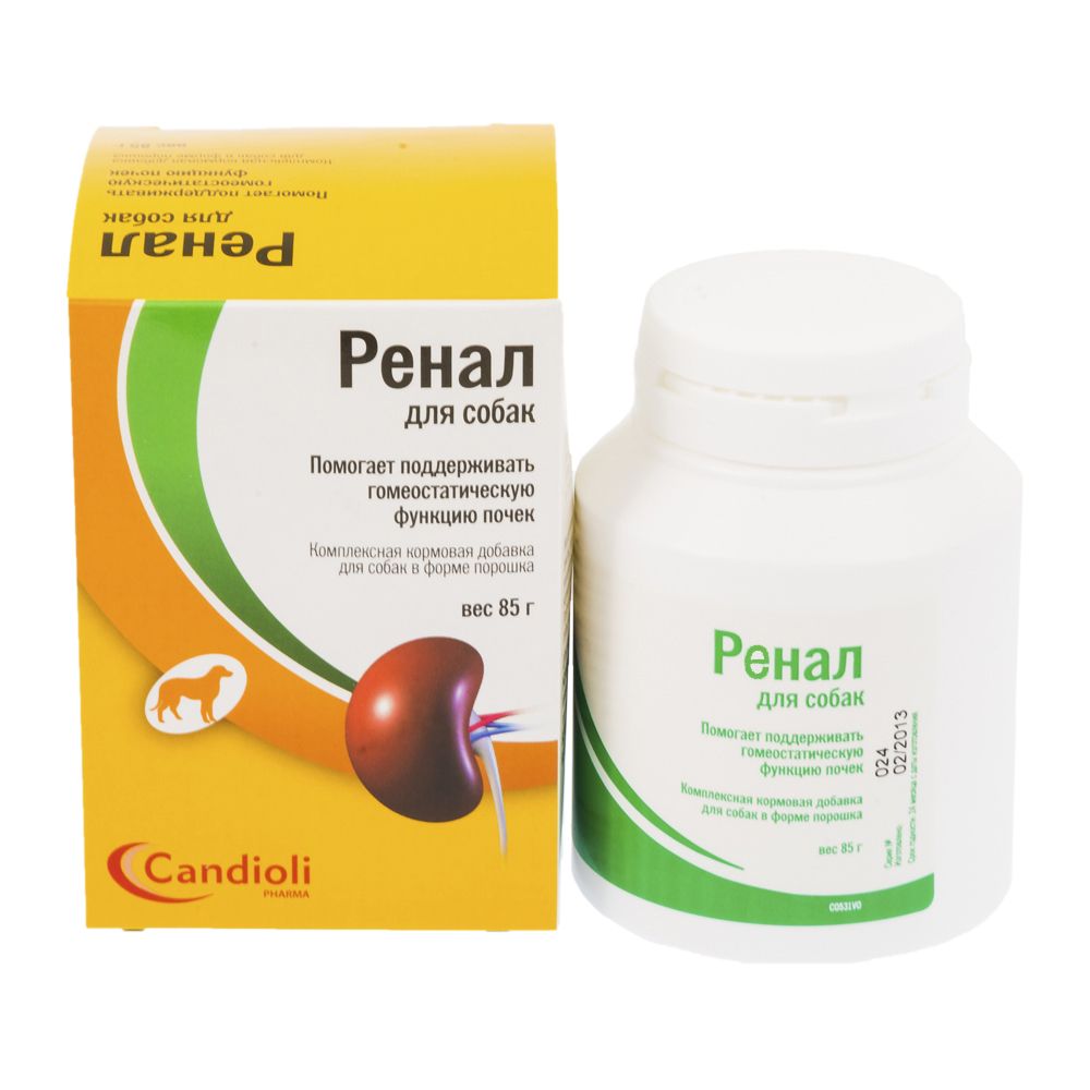 ПР0044802 Комплексная кормовая добавка Ренал для собак в форме порошка 85г (банка) Candioli 