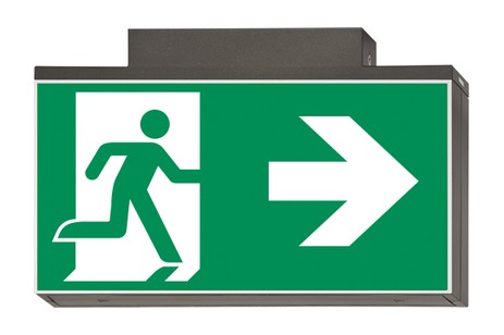 DST-711 Lisu ceiling-mounted Daisalux Светильники аварийные Металлический Серый 