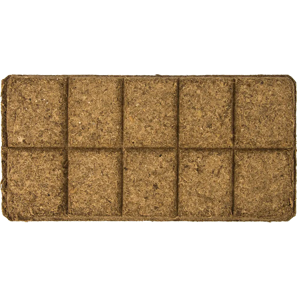 БиоМастер «Яркая Бегония» — плодородный грунт для цветущих растений 82375674 STLM-0025742 - Вид №2