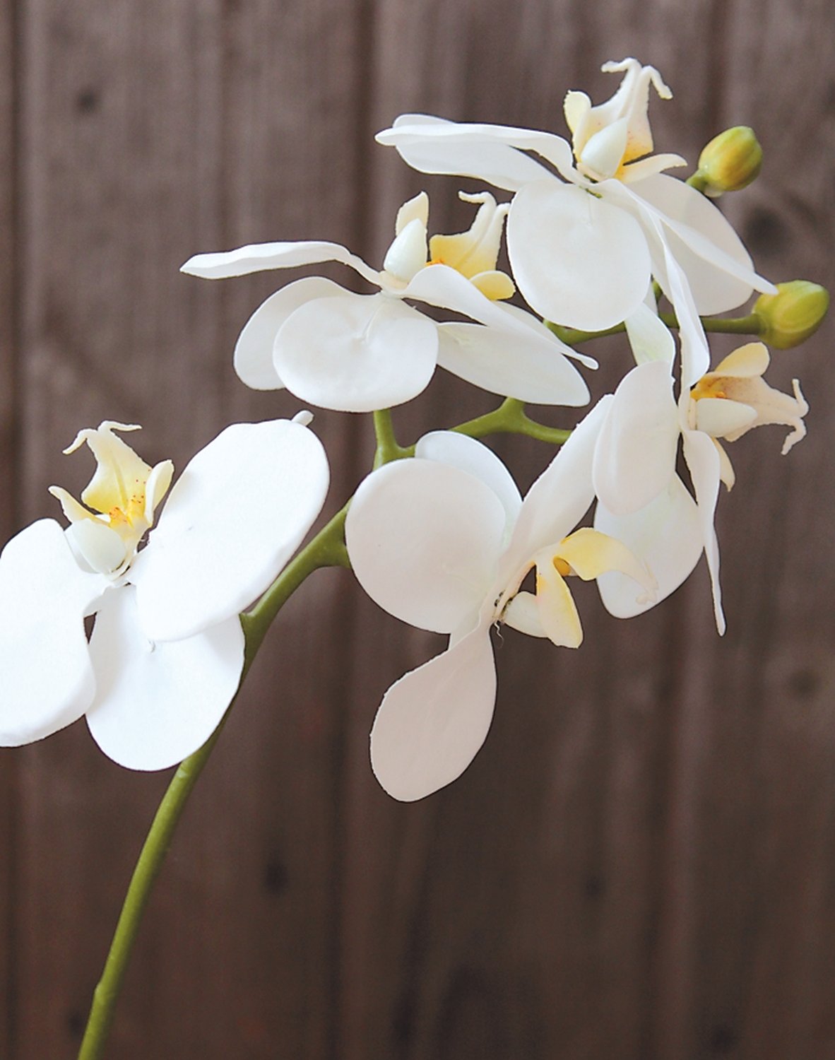 2601 777 a3 Искусственная орхидея Phalaenopsis, 37 см, real touch soft, белая H-andreas  - Вид №2