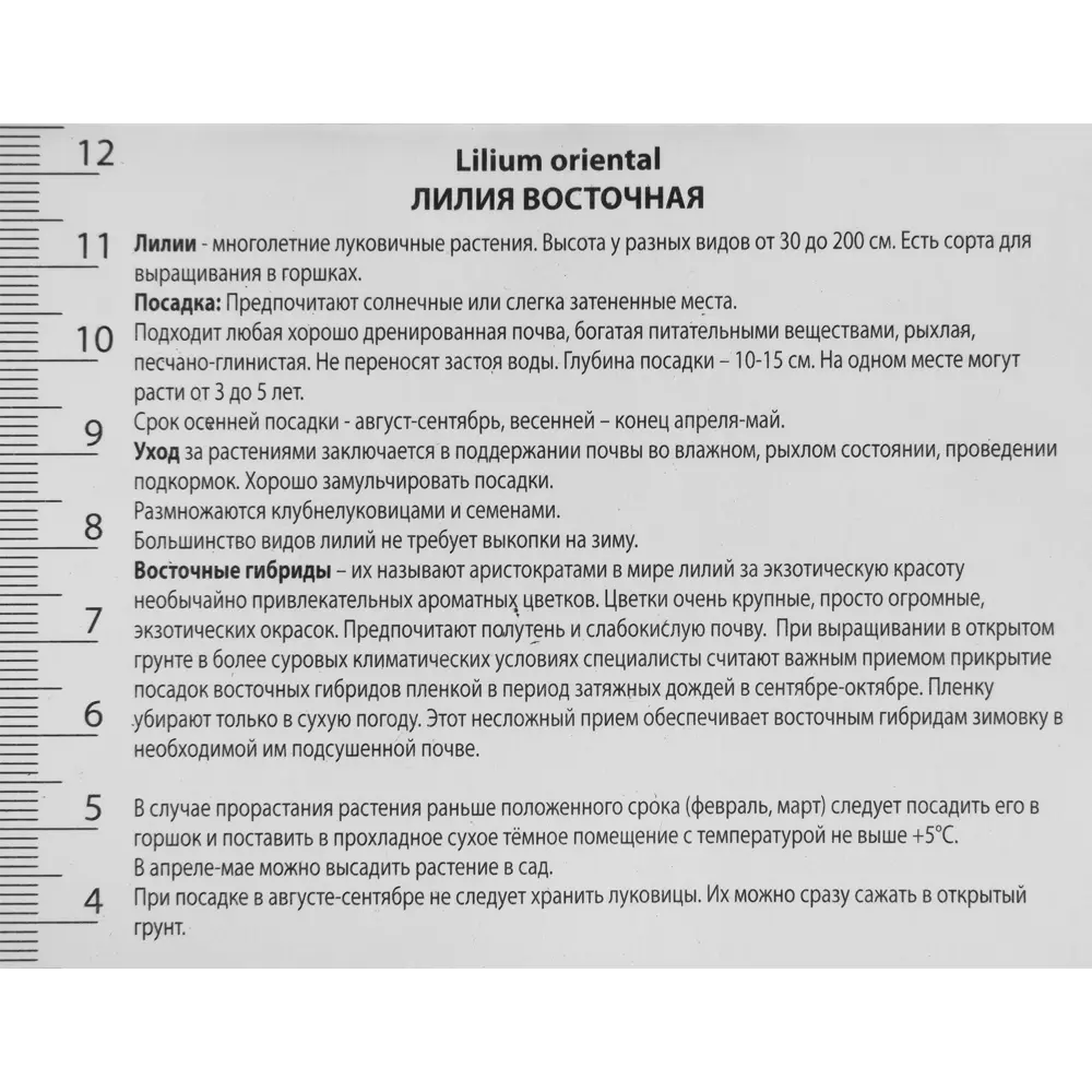 Лилия азиатская махровая «Сноуборд», размер луковицы 14/16 82319578 STLM-2203041 Santreyd  - Вид №2