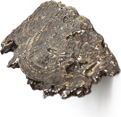 EA1033 Fungi PULLCAST Earth Collection  - Вид №2