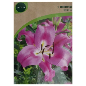 Лилия Robina Geolia, 14/16