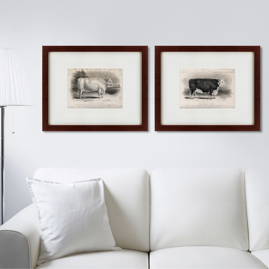Литография на тонированной бумаге 42х52 см A short horned bull, 1849 КАРТИНЫ В КВАРТИРУ  135686 Бежевый;белый;серый;разноцветный  - Вид №2