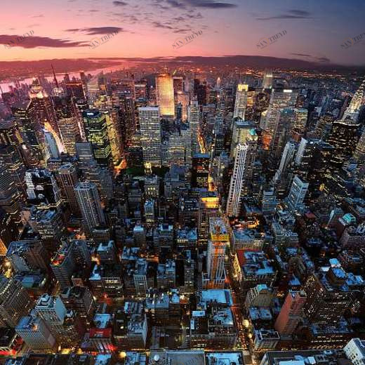 L-113 Фотообои DIVINO L&P 3х2.7 м L113