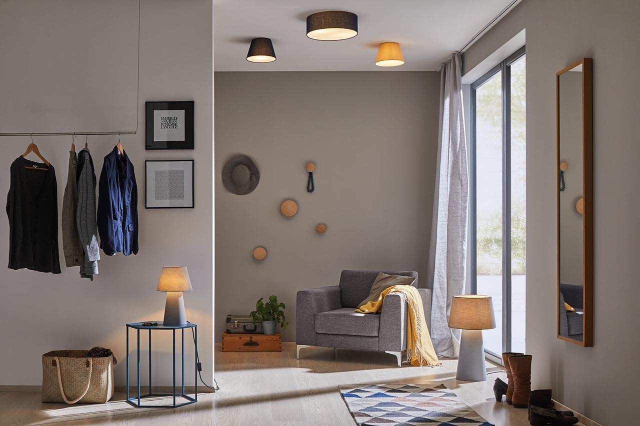 Потолочный светильник Paulmann Mea 70949 PAULMANN MEA 201940 Синий  - Вид №1