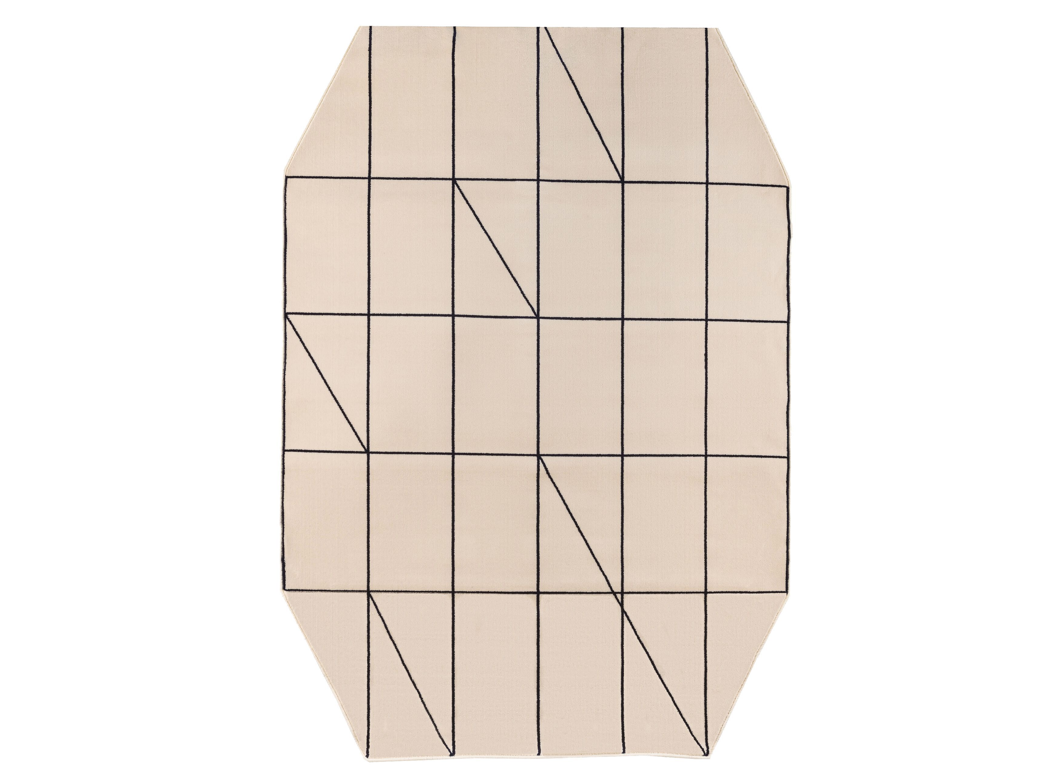 Узорчатый полипропиленовый ковер Shishka Project NOTEBOOK 3 ARCH-00048424