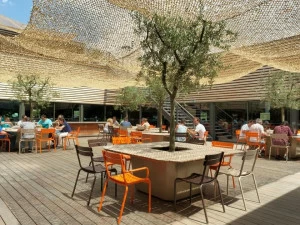 IMAGE'IN Садовый стол / плантатор