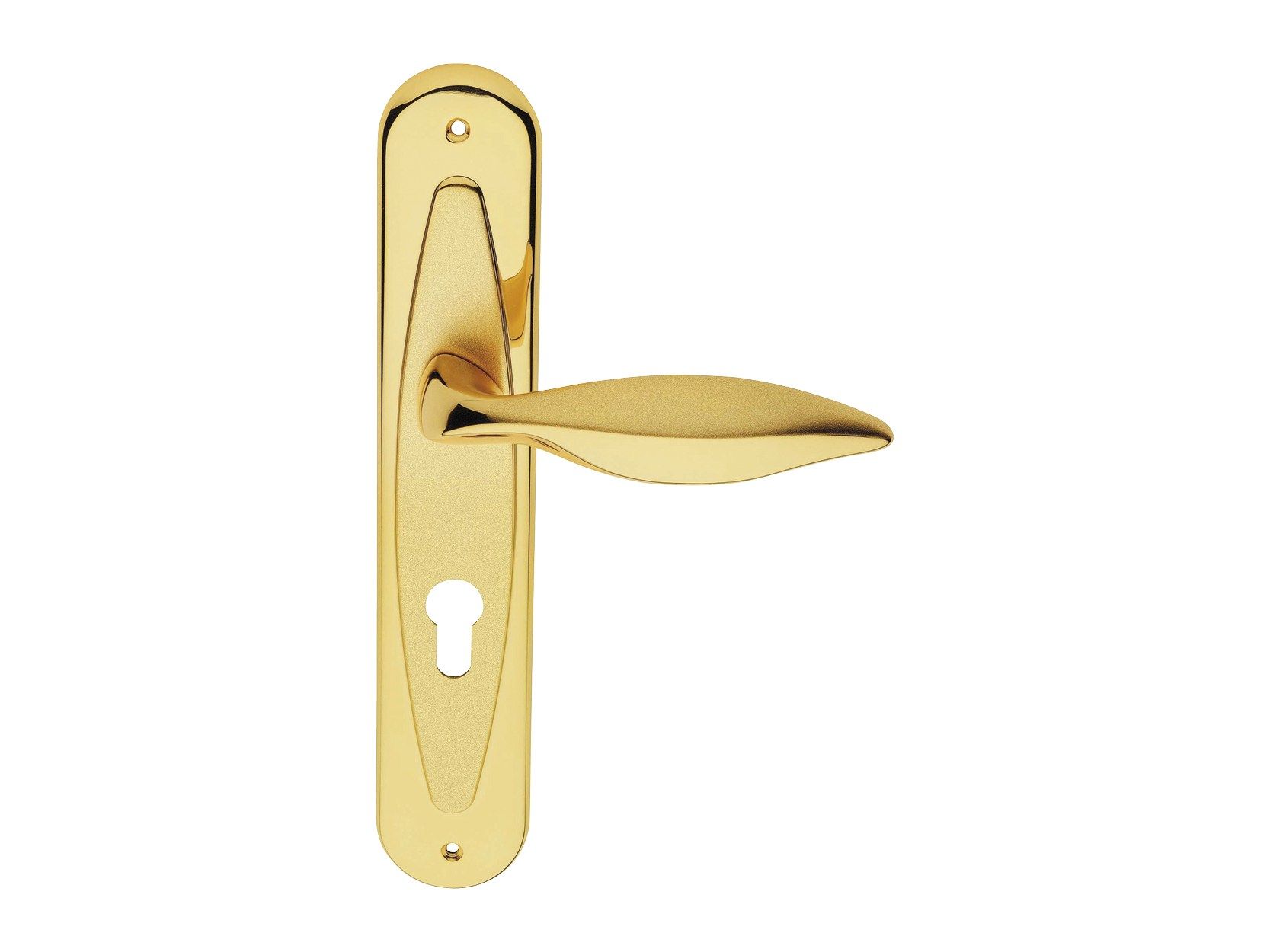 Классическая металлическая ручка на пластине с насадкой LINEA CALI' Дельфин ARCH-00027663 - Вид №1